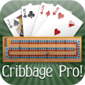 Cribbage Pro